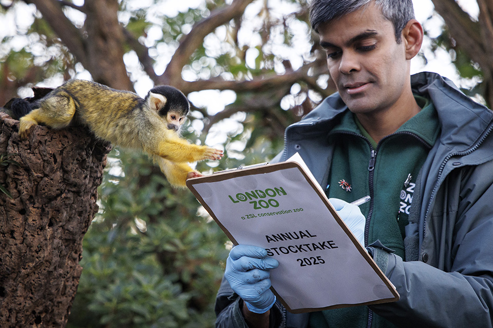 Από τον πόλεμο στον Αθω-2