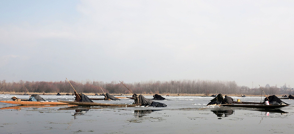 Γεννηθείς; Εις στην θάλασσα-1