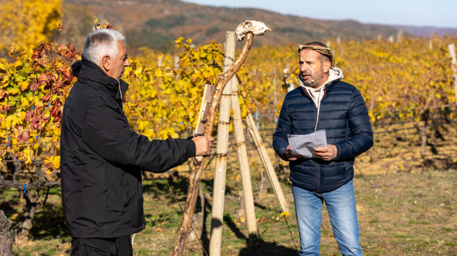 οταν-ο-θωμάς-συνάντησε-την-αντιγόνη-στ-563443858