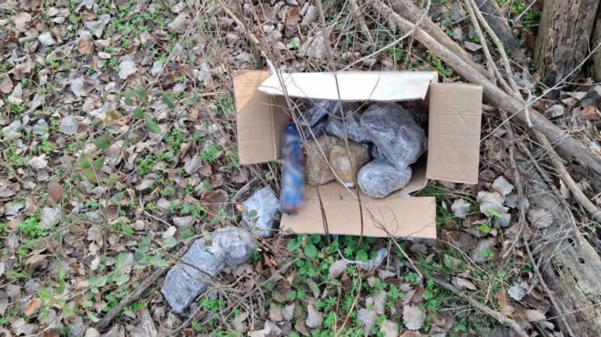 θεσσαλονίκη-εσκαβαν-στο-δάσος-για-να-θ-563444032