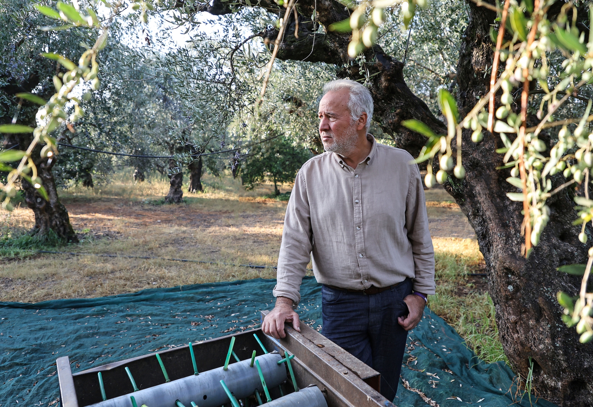 Καλαμάτα: Μετά τον σεισμό ζούμε ένα διαρκές success story-1