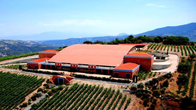 τα-αδέλφια-γεωργιάδη-της-premia-εξαγόρασαν-563423368