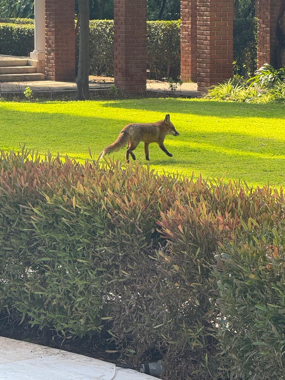 Εκπρόσωποι της ηγεσίας και πολύτεκνοι έκαναν ποδαρικό στο Προεδρικό Μέγαρο-4