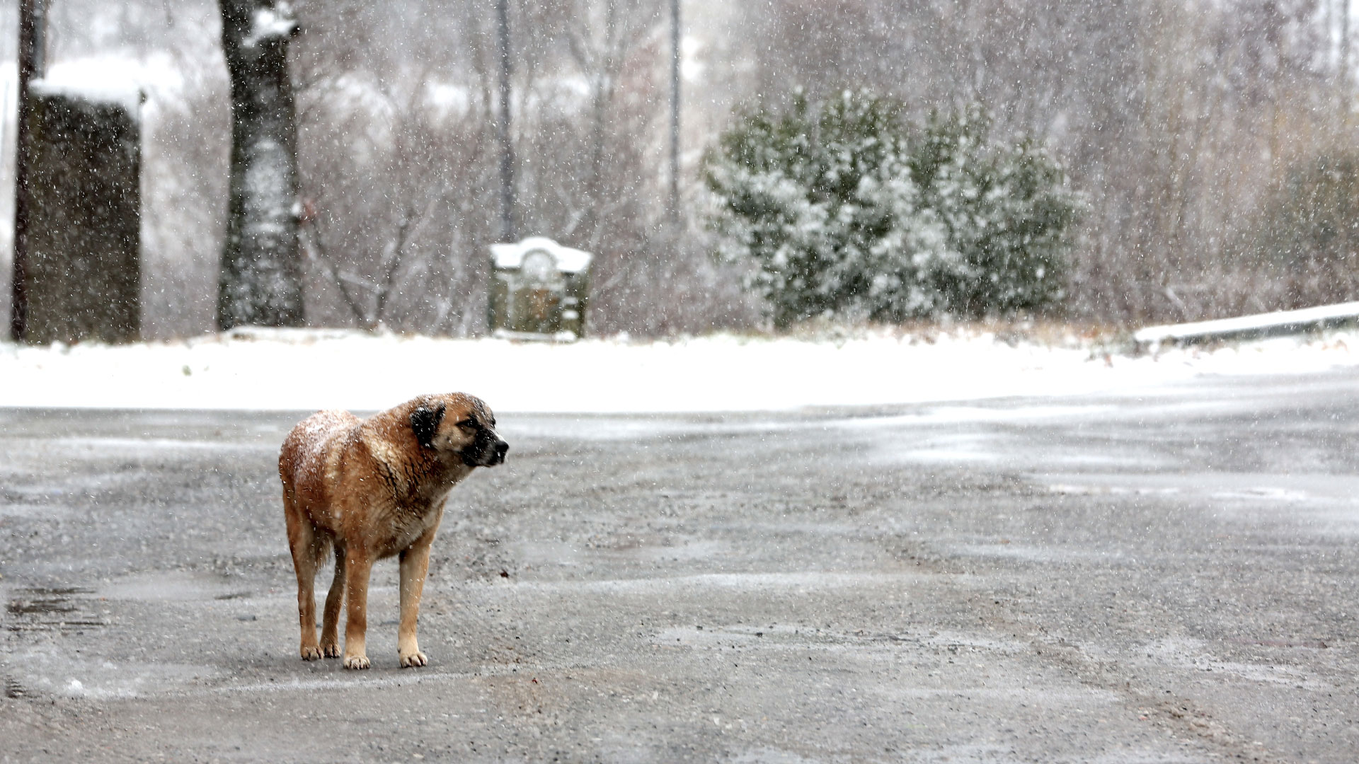 Κακοκαιρία: Εκτακτα μέτρα σε Μακεδονία και Θράκη – Ποια σχολεία θα μείνουν κλειστά-3