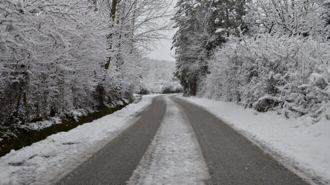 αλιμος-ελληνική-πατέντα-για-να-μην-πλη-563415205