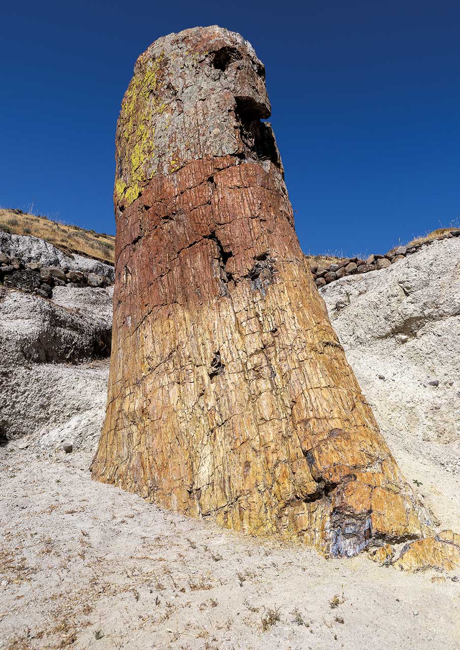 Λέσβος: Ενα ζωντανό γεωλογικό εργαστήριο-10