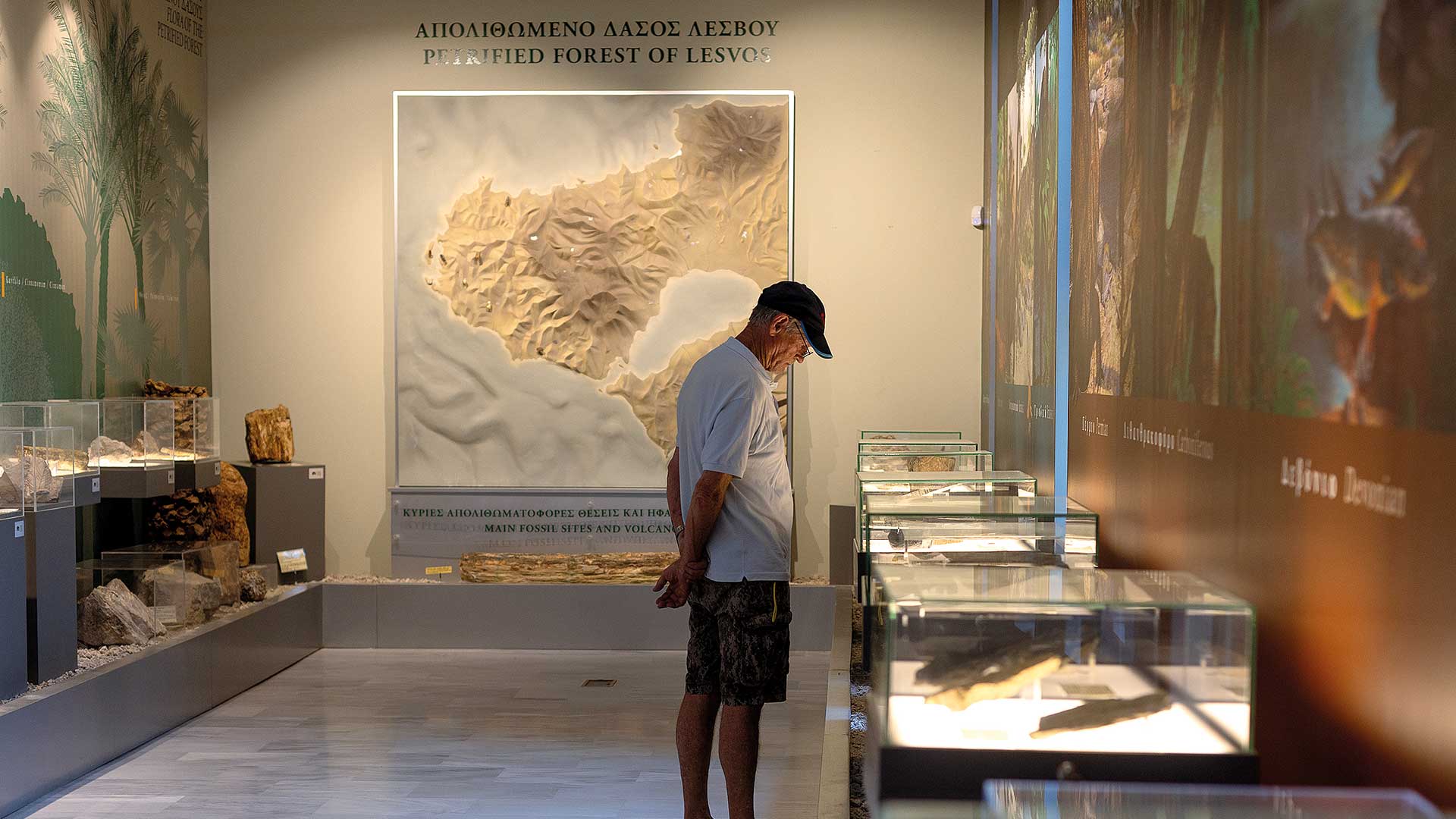 Λέσβος: Ενα ζωντανό γεωλογικό εργαστήριο-6