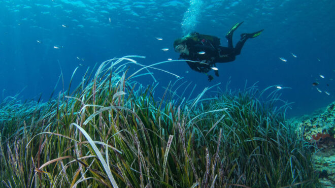 θεσμοθέτηση-θαλάσσιων-πάρκων-εντός-2025-563427808