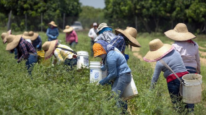 καμπανάκι-για-τον-αγροτικό-τομέα-τω-563423395