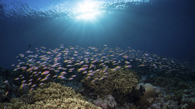 υπερθέρμανση-των-ωκεανών-τέσσερις-φο-563439697