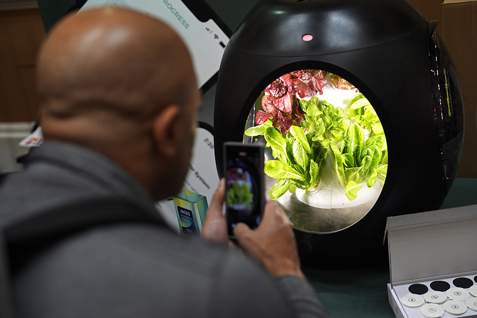 Πένθος γεμάτο χρώμα-2