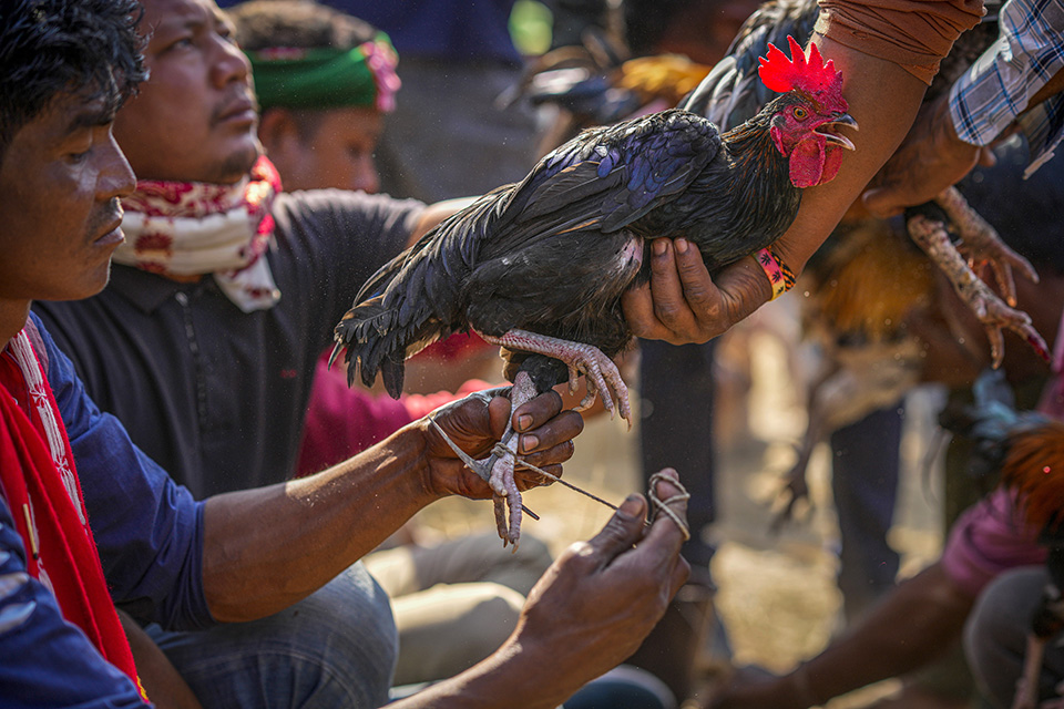 Του Αγίου Αντωνίου-3