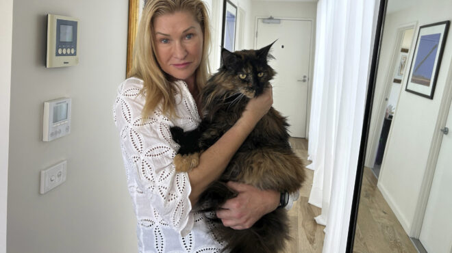 κατά-λάθος-πολυταξιδεμένη-η-γάτα-πο-563429536