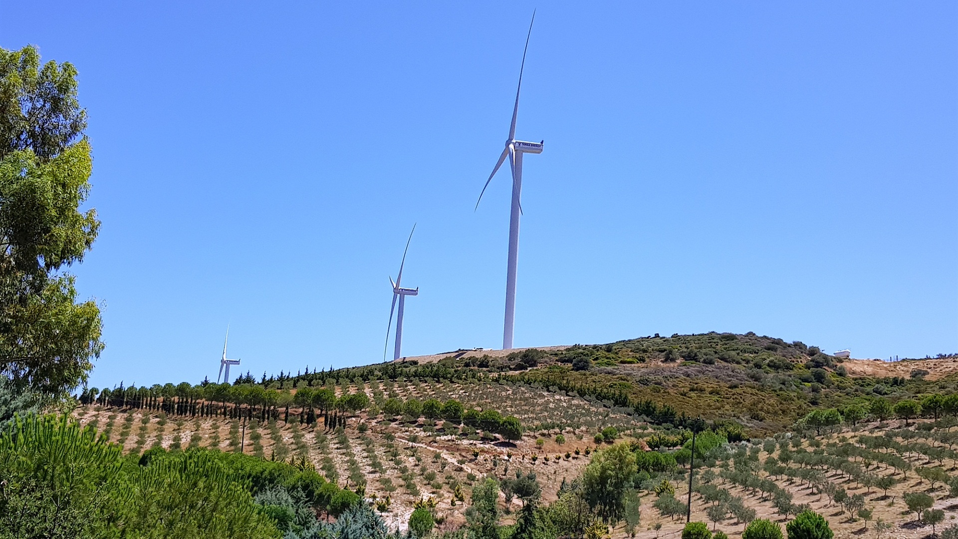 Επεκτείνεται διεθνώς η εφαρμογή τεχνητής νοημοσύνης της Irida για την προστασία πτηνών σε αιολικά πάρκα-1