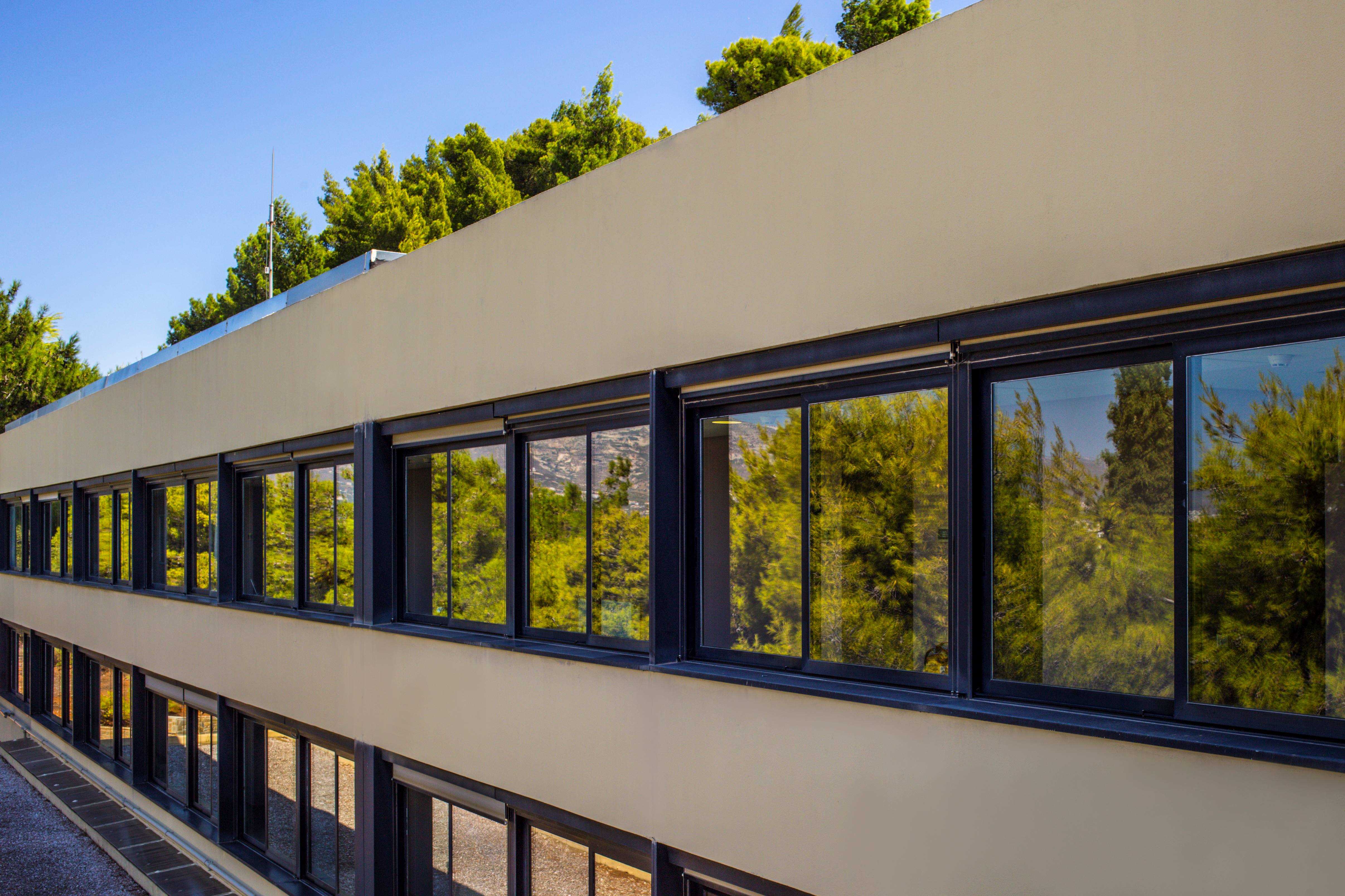 Υποτροφία Άλντους για μαθητές με τυφλότητα στο Deree-3