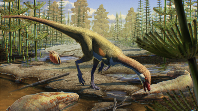 οι-δεινόσαυροι-εμφανίστηκαν-στο-βόρε-563406442