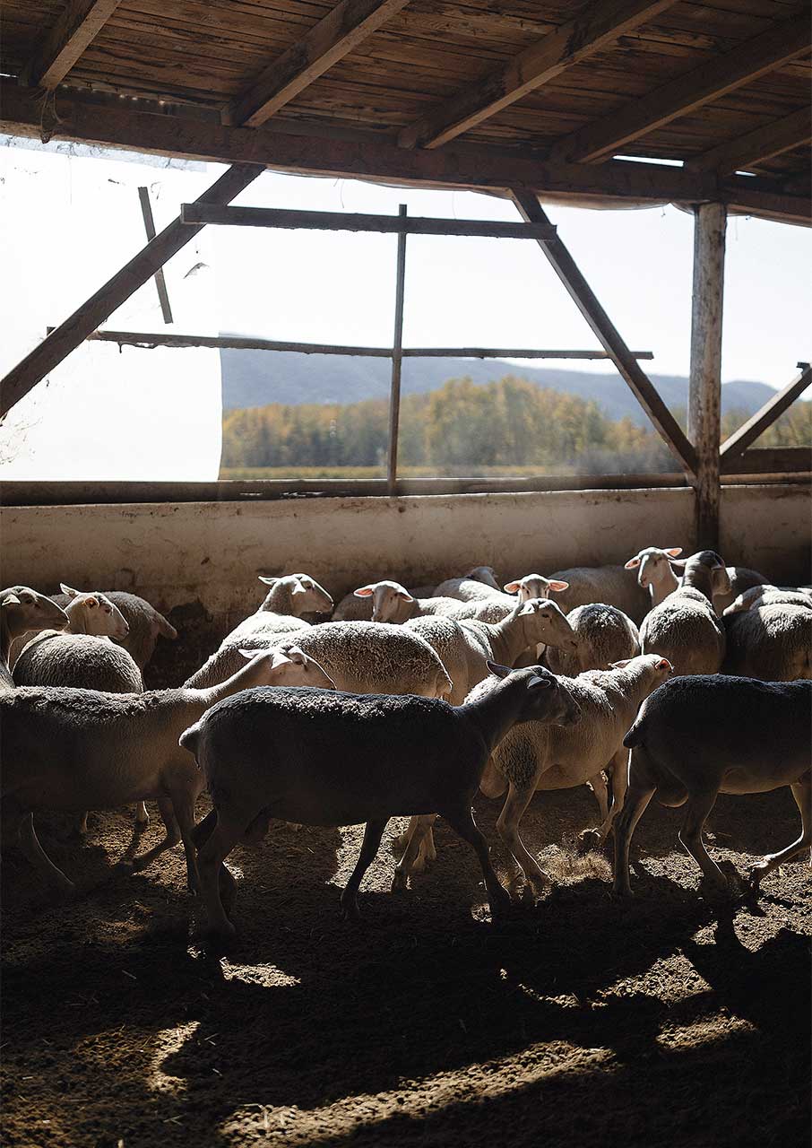 Παγγαίο: Το βουνό που κρύβει θησαυρούς φύσης και ιστορίας-9
