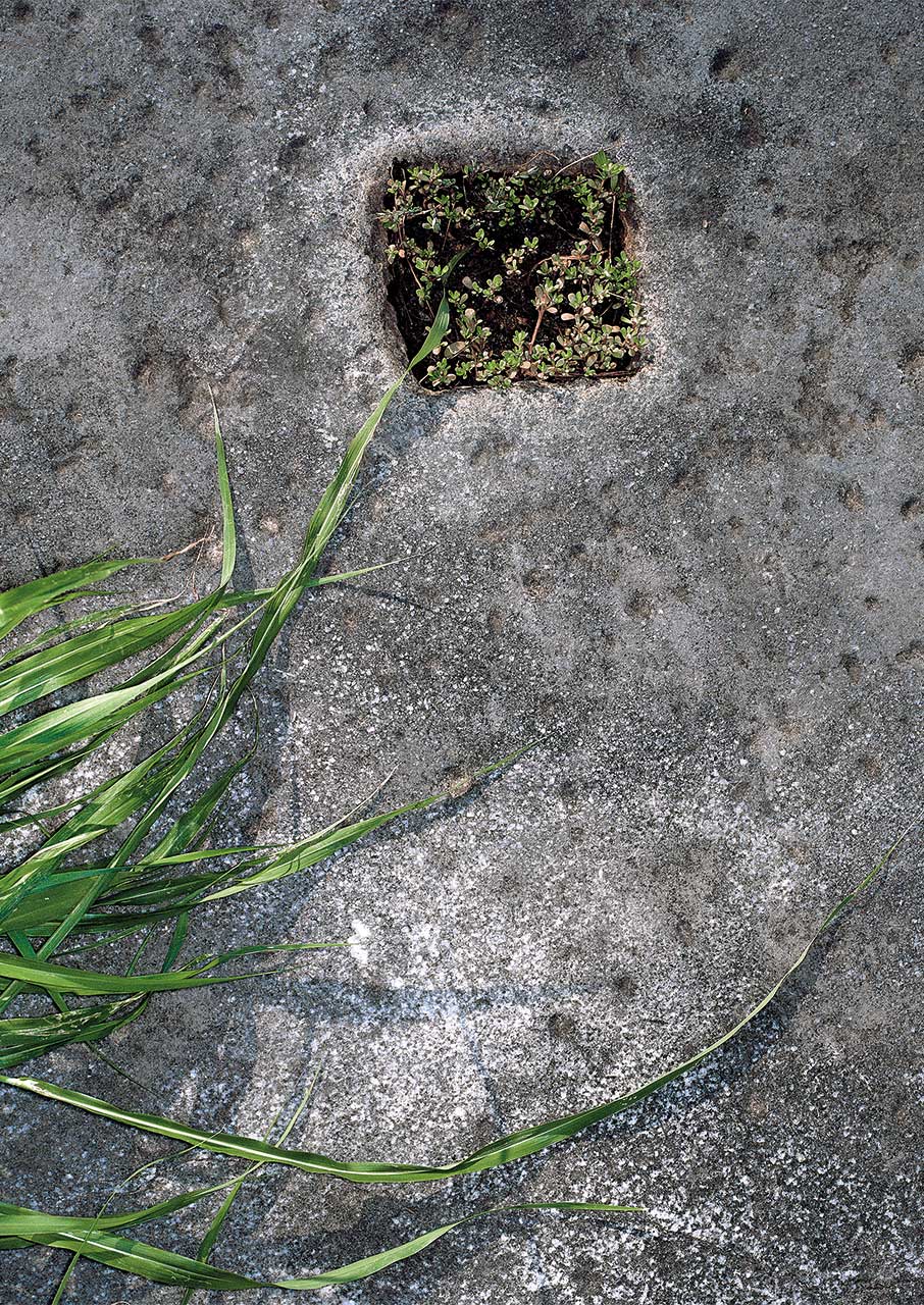 Φίλιπποι: Ανακαλύπτοντας την ιστορία και τα μυστικά του αρχαιολογικού χώρου-2