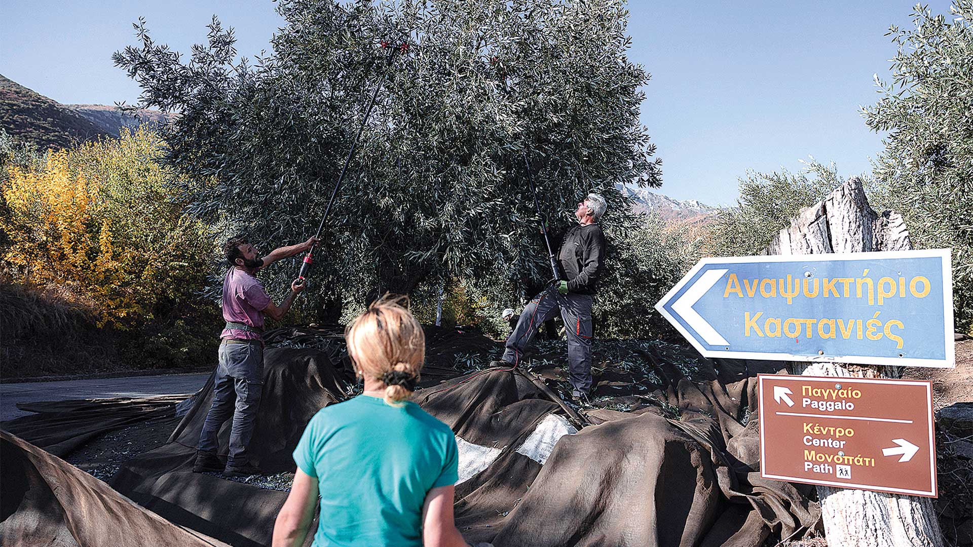 Παγγαίο: Το βουνό που κρύβει θησαυρούς φύσης και ιστορίας-15