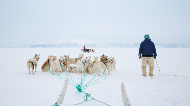 παναγιώτης-δαλαγιώργος-από-τα-σέρβια-563427898
