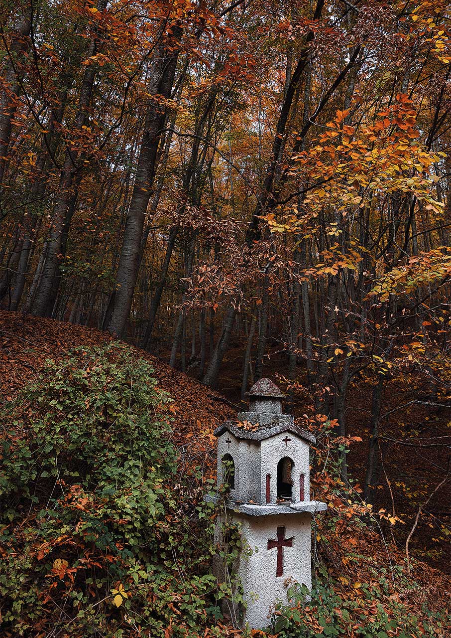 Παγγαίο: Το βουνό που κρύβει θησαυρούς φύσης και ιστορίας-3