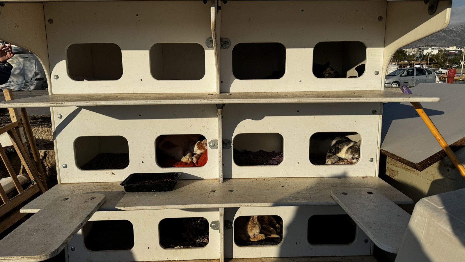 Γλυφάδα: Τι είναι οι «πολυγατοικίες» που δημιούργησαν εθελοντές για αδέσποτα-1