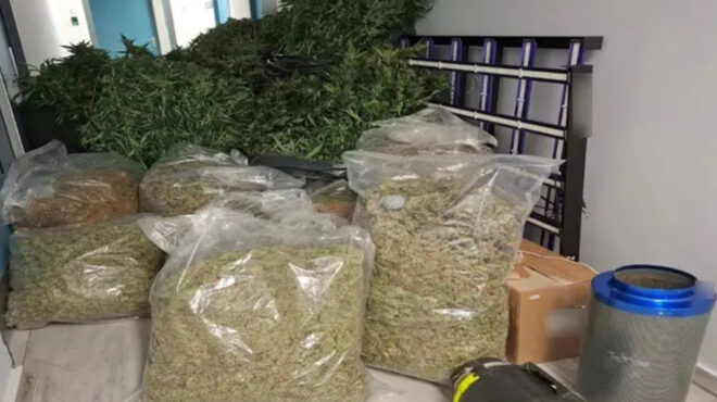 καλλιεργούσαν-και-διακινούσαν-κάννα-563444611