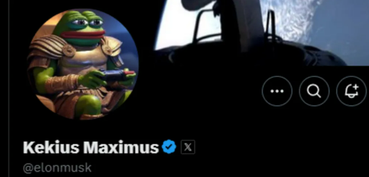 Kekius Maximus: Ο Μασκ άλλαξε user name στο Χ «εκτινάσσοντας» την αξία ενός memecoin-1