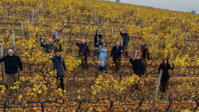 αμύνταιο-περπατήσαμε-στους-αμπελώνε-563400808