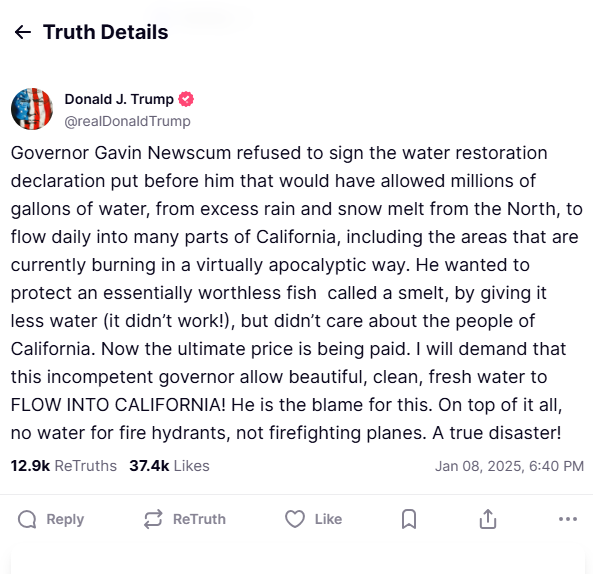 Τραμπ κατά Νιούσομ για τις φωτιές στο Λος Αντζελες: Εκλεισε το νερό για ένα «ασήμαντο ψάρι»-1