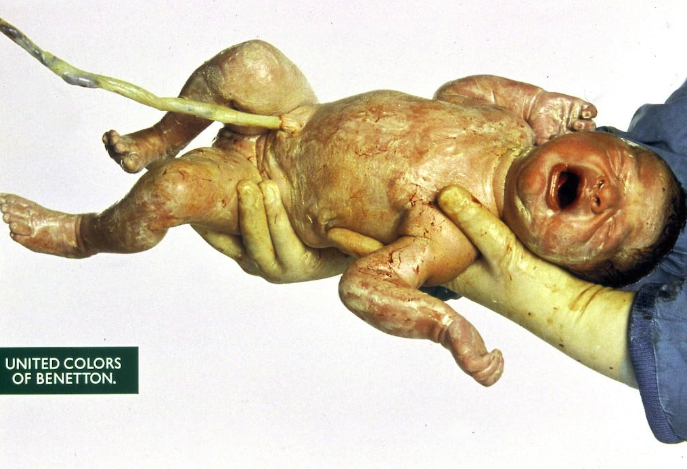 Ο άνθρωπος που έκανε τα πουλόβερ της Benetton υπερδύναμη της μόδας-6