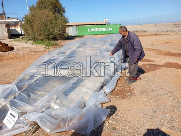 Κρήτη: Ψαράδες αλίευσαν… πολεμικό αεροπλάνο (Φωτογραφίες)-2