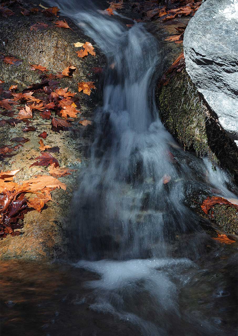 Παγγαίο: Το βουνό που κρύβει θησαυρούς φύσης και ιστορίας-2
