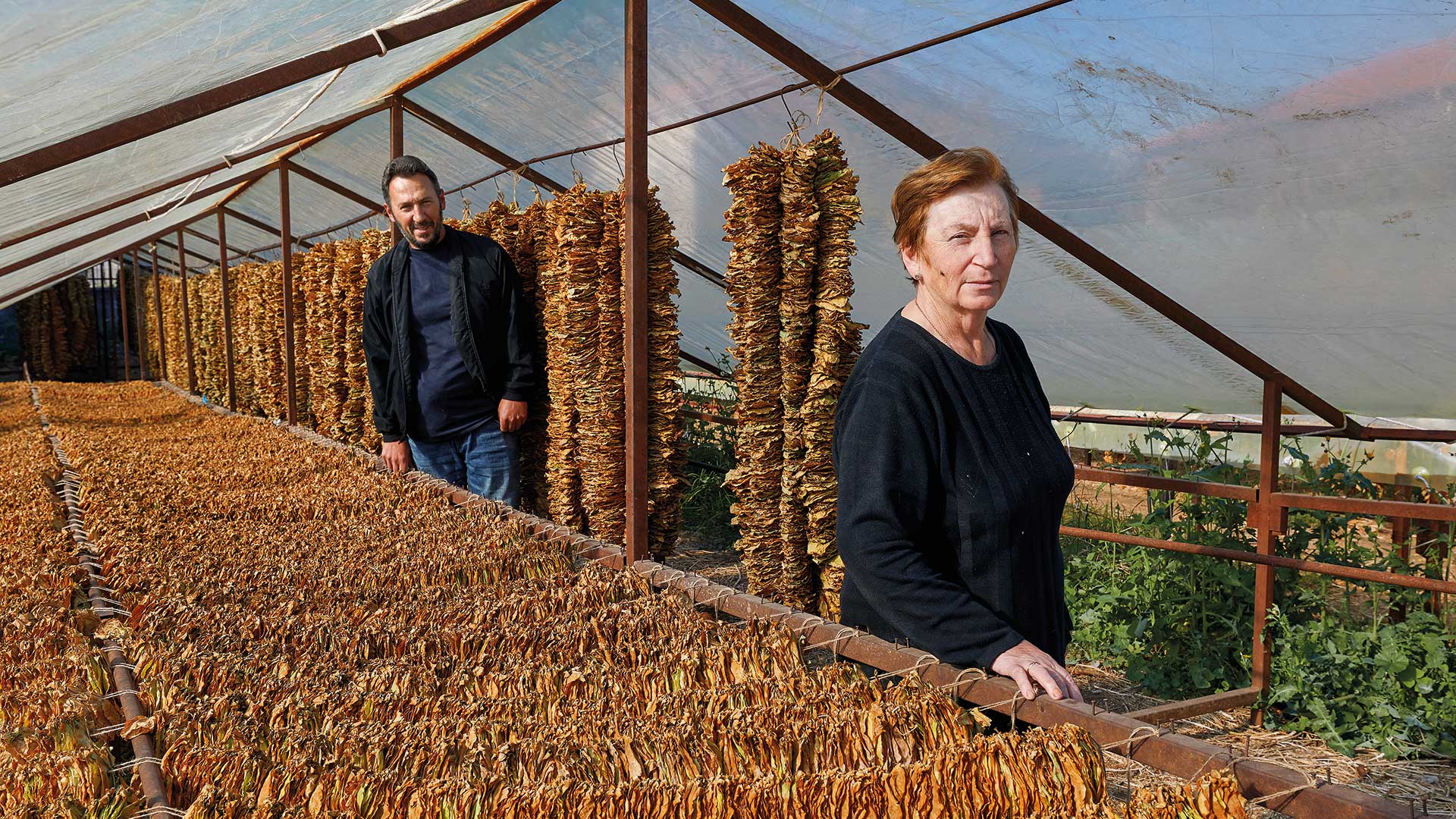 Η καπνική κληρονομιά της Καβάλας-2