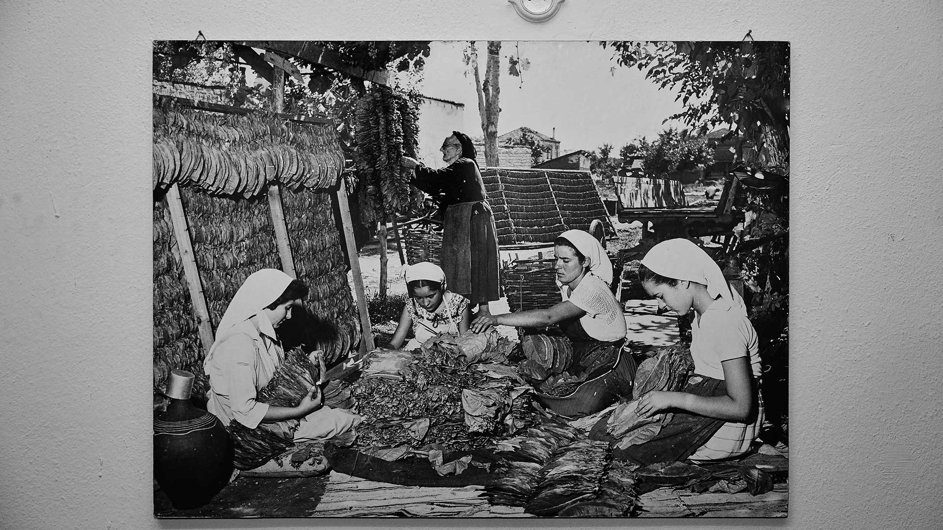 Η καπνική κληρονομιά της Καβάλας-4