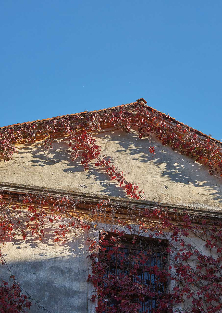 Η καπνική κληρονομιά της Καβάλας-1