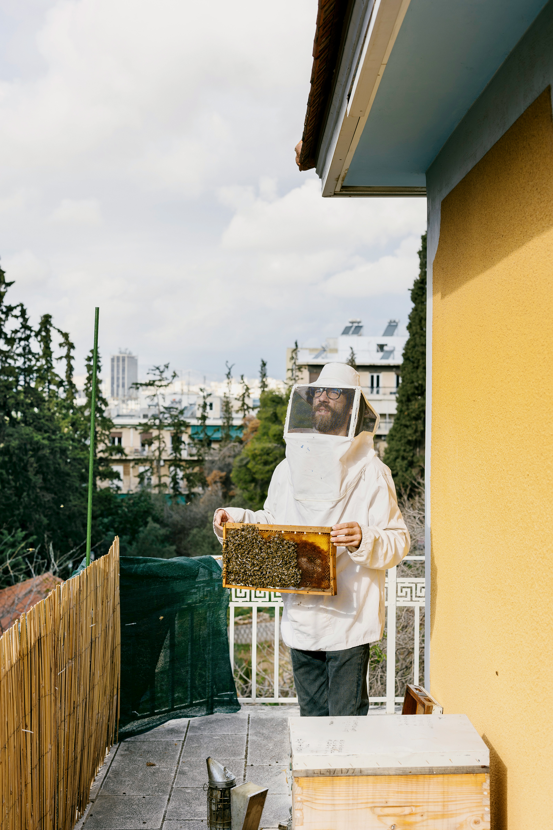 Θα τρώγατε μέλι που παράγεται σε αθηναϊκές ταράτσες;-1