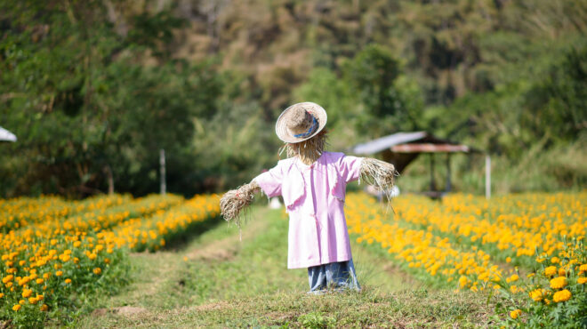 αμυνα-κατά-της-διάχυτης-μελαγχολίας-563413234