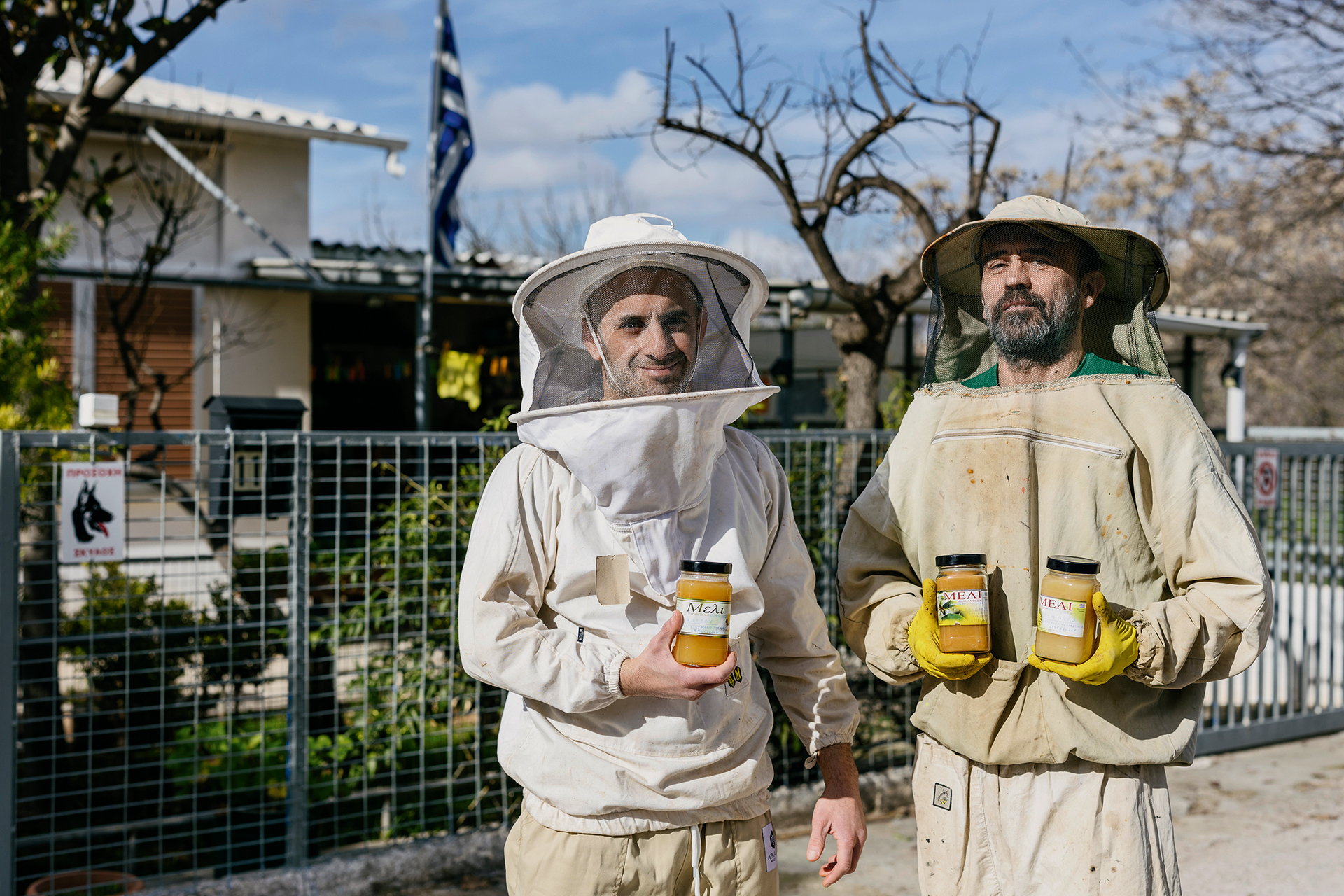 Θα τρώγατε μέλι που παράγεται σε αθηναϊκές ταράτσες;-3