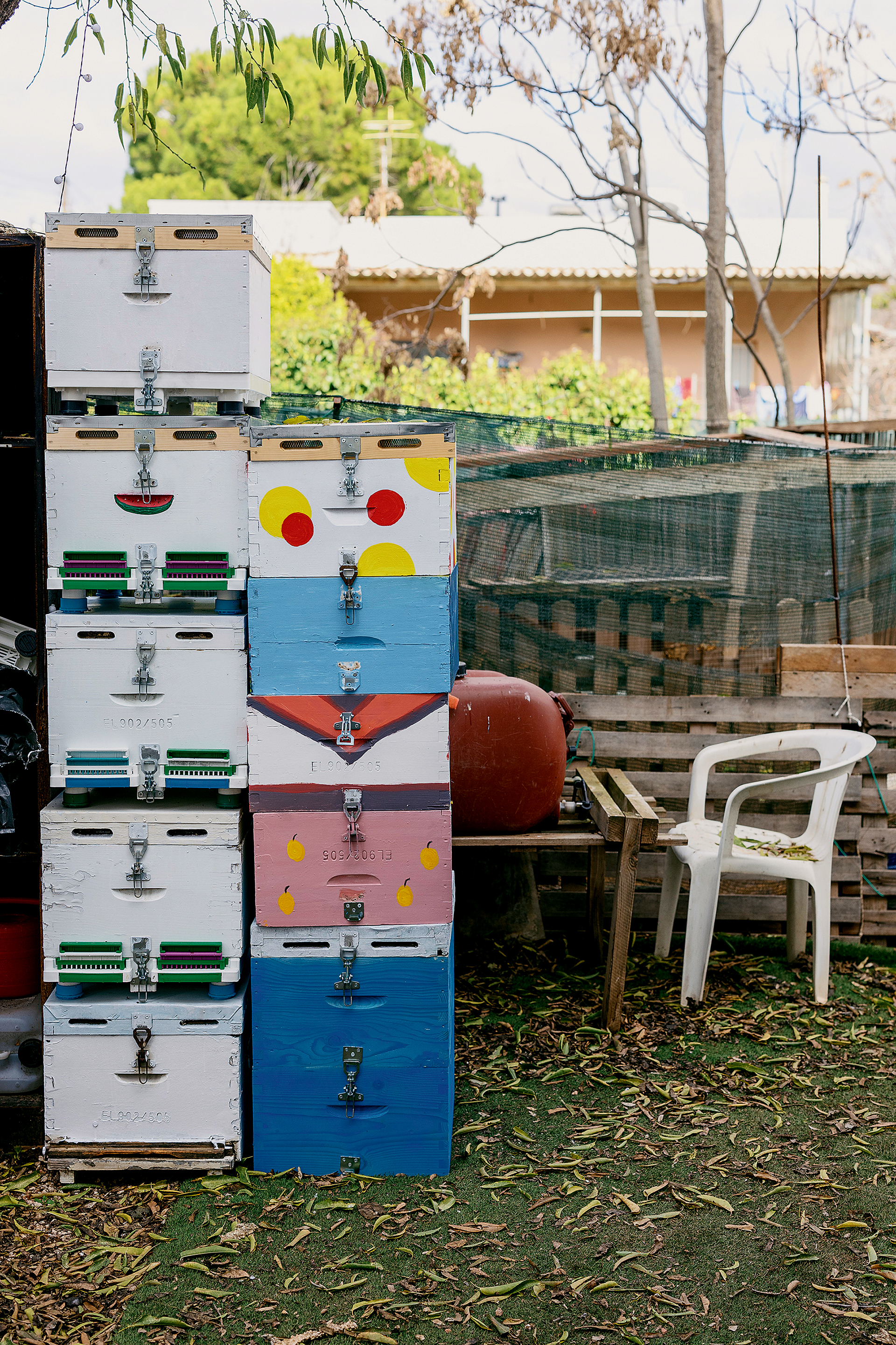 Θα τρώγατε μέλι που παράγεται σε αθηναϊκές ταράτσες;-4