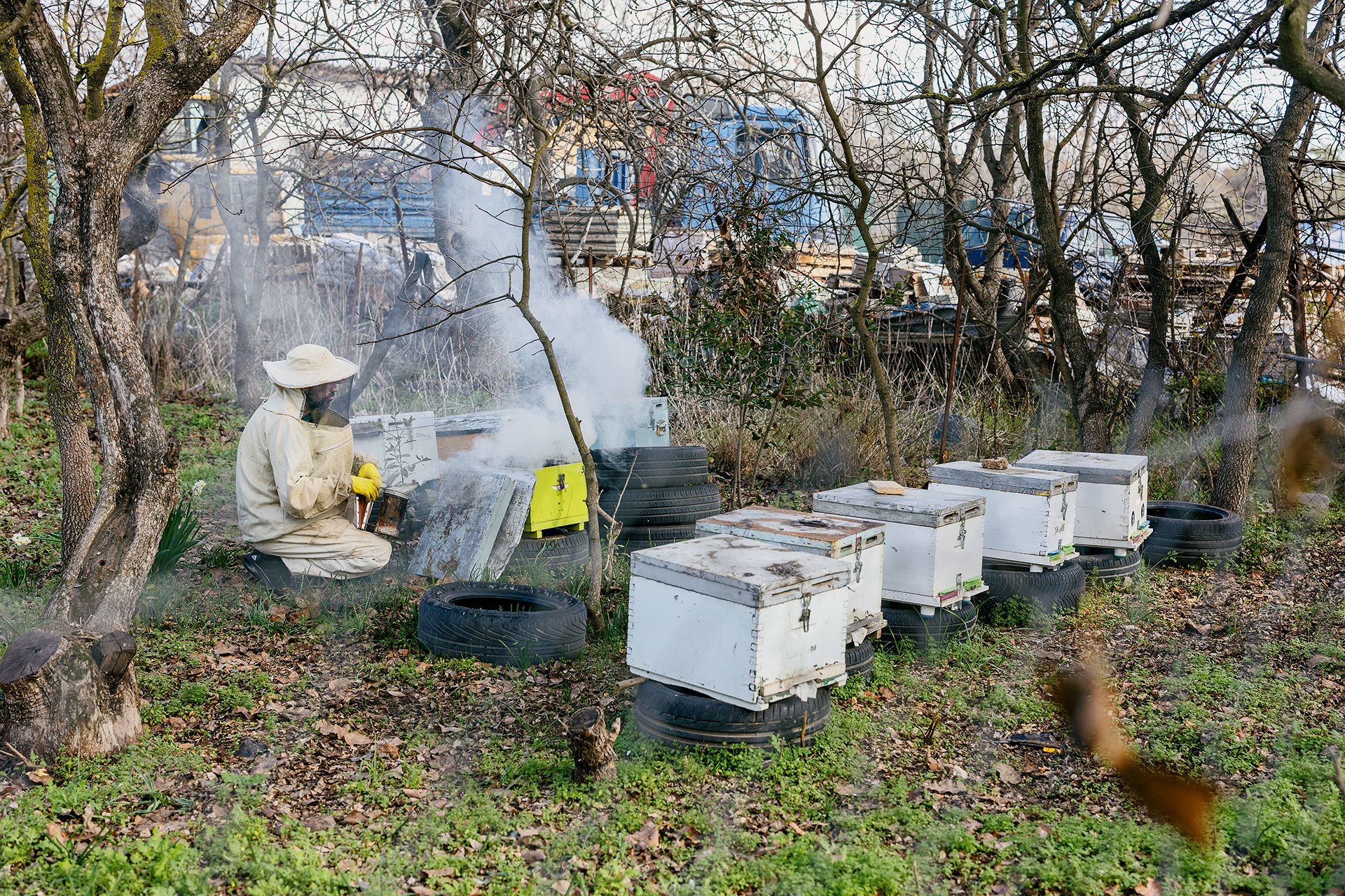 Θα τρώγατε μέλι που παράγεται σε αθηναϊκές ταράτσες;-5