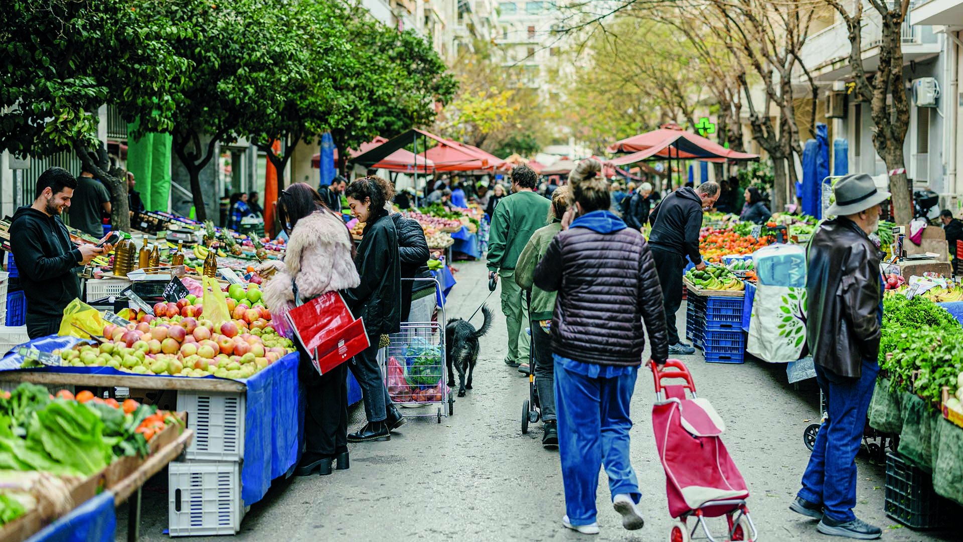 Στο Κολωνάκι, για μαμαδίσια πιάτα και γεύσεις Γαλλίας-4