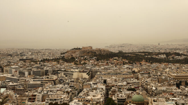πομιδα-το-82-των-ιδιοκτητών-θεωρούν-τον-563437156