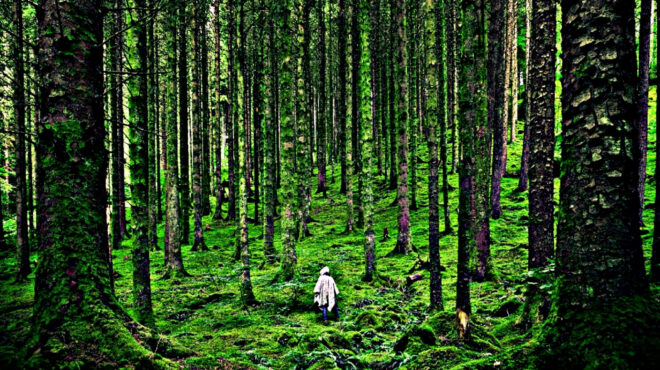 ενα-βιβλίο-του-1938-ύμνος-στη-φύση-και-τη-563436664