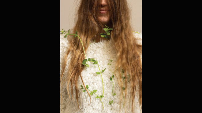 το-μυρωδικό-που-δίχαζε-τους-αρχαίους-ε-563444437