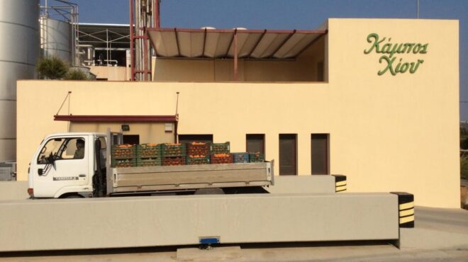 η-ελληνικά-γαλακτοκομεία-εξαγόρασ-563417593