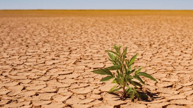 λευκός-οίκος-ο-τραμπ-θα-αποσύρει-ξανά-τ-563426641