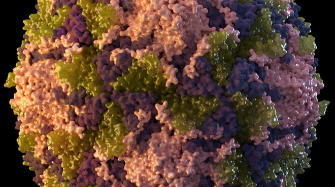 ευρώπη-ασυνήθιστα-υψηλός-αριθμός-ανι-563445415