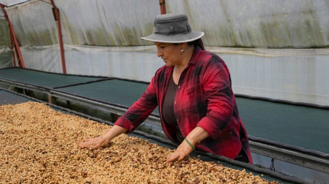 εκτίναξη-της-τιμής-του-καφέ-λόγω-μείωσ-563415898