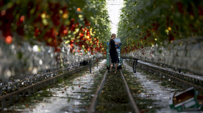 αποζημιώσεις-αγροτών-ανάγκη-αλλαγής-563436352